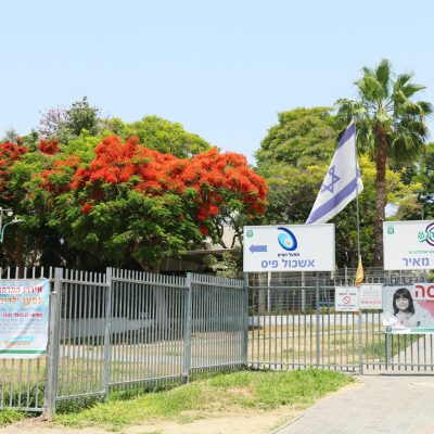 70D גולדה 10062025 (3)