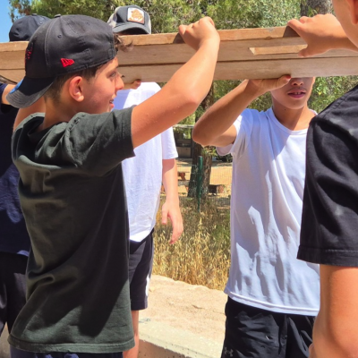 צילום מסך 2025-07-23 ב-16.47.48